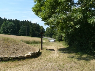 Hügelgräber Landersdorf